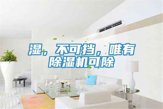濕，不可擋，唯有除濕機(jī)可除