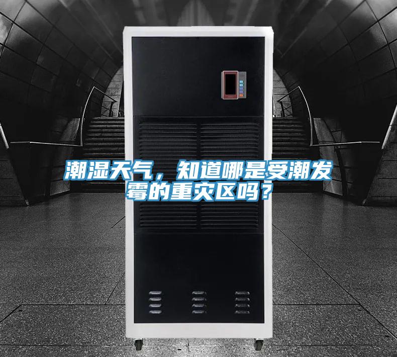 潮濕天氣，知道哪是受潮發(fā)霉的重災(zāi)區(qū)嗎？