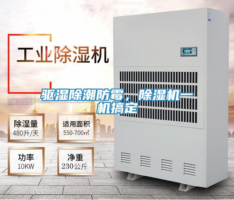 驅(qū)濕除潮防霉，除濕機(jī)一機(jī)搞定