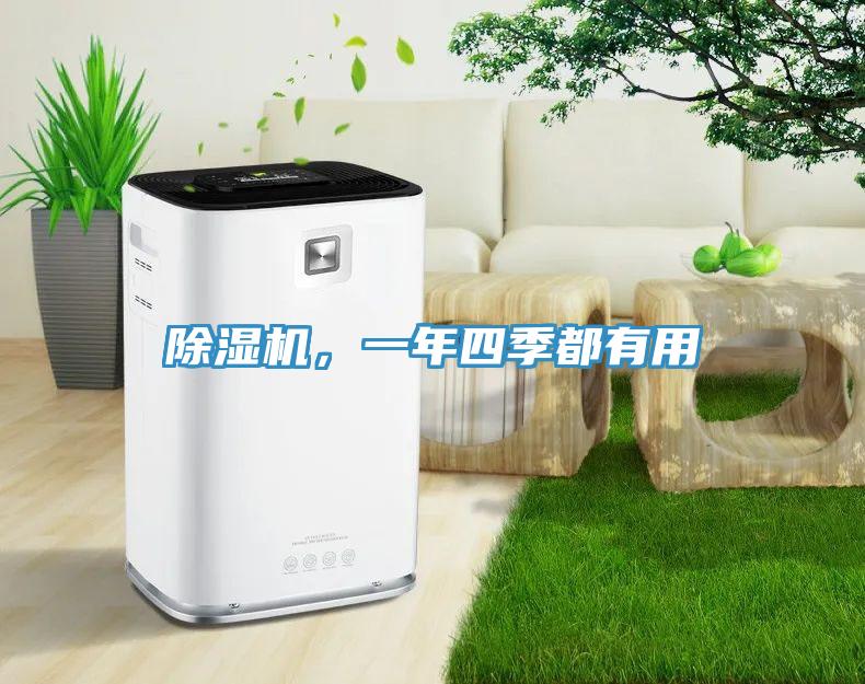 除濕機，一年四季都有用