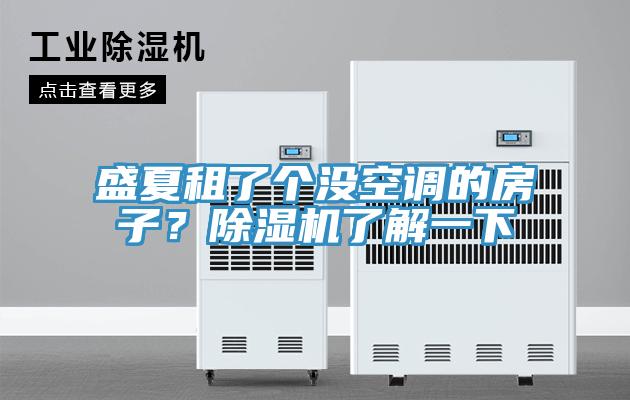 盛夏租了個沒空調(diào)的房子？除濕機(jī)了解一下