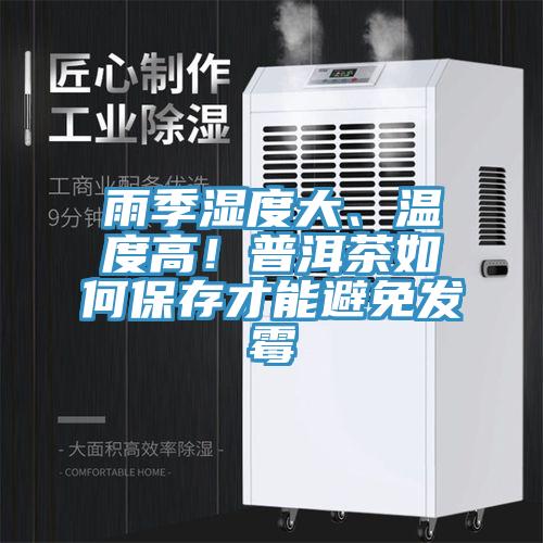 雨季濕度大、溫度高！普洱茶如何保存才能避免發(fā)霉