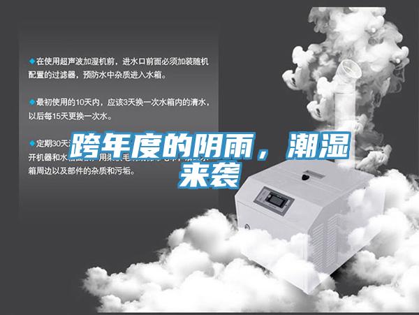 跨年度的陰雨，潮濕來襲