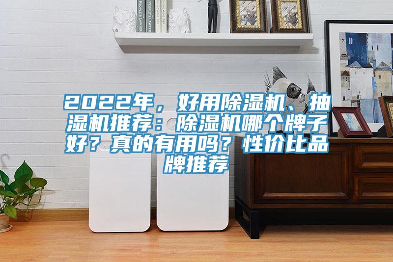 2022年，好用除濕機、抽濕機推薦：除濕機哪個牌子好？真的有用嗎？性價比品牌推薦