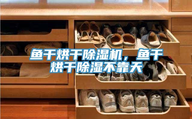 魚(yú)干烘干除濕機(jī)，魚(yú)干烘干除濕不靠天