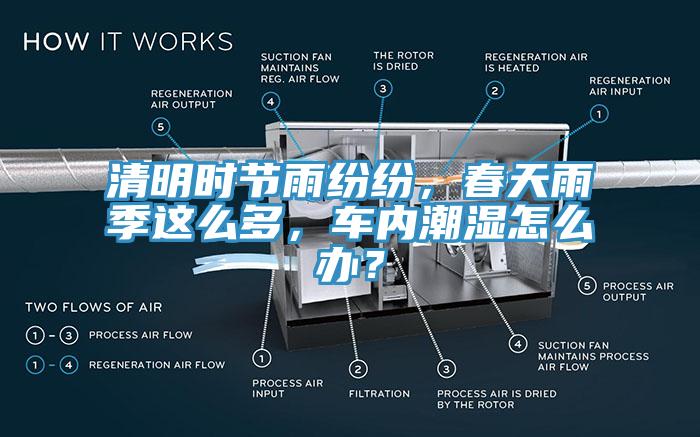 清明時節(jié)雨紛紛，春天雨季這么多，車內(nèi)潮濕怎么辦？