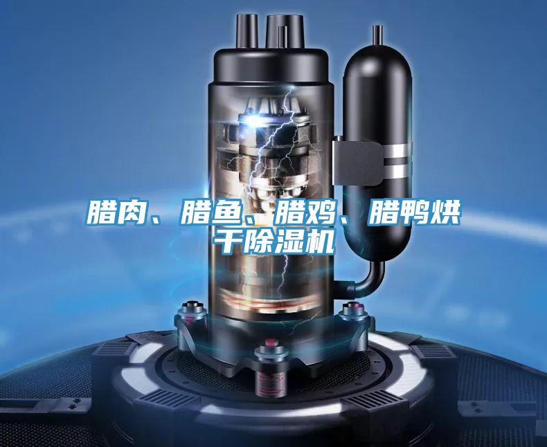 臘肉、臘魚、臘雞、臘鴨烘干除濕機(jī)