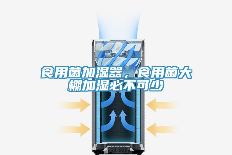 食用菌加濕器，食用菌大棚加濕必不可少