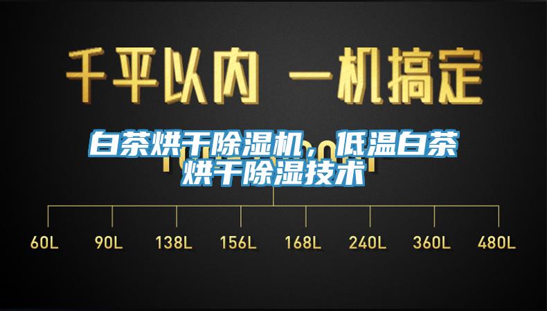 白茶烘干除濕機(jī)，低溫白茶烘干除濕技術(shù)