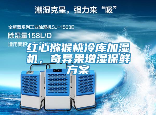 紅心獼猴桃冷庫加濕機(jī)，奇異果增濕保鮮方案