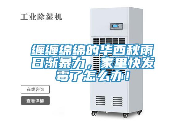 纏纏綿綿的華西秋雨日漸暴力，家里快發(fā)霉了怎么辦！