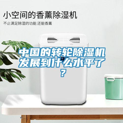 中國的轉(zhuǎn)輪除濕機(jī)發(fā)展到什么水平了？