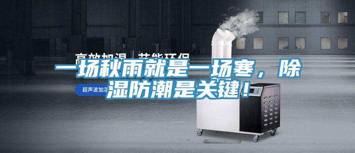 一場(chǎng)秋雨就是一場(chǎng)寒，除濕防潮是關(guān)鍵！