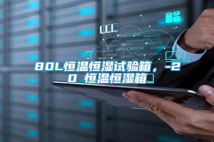 80L恒溫恒濕試驗箱，-20℃恒溫恒濕箱