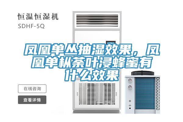 鳳凰單叢抽濕效果，鳳凰單樅荼葉浸蜂蜜有什么效果