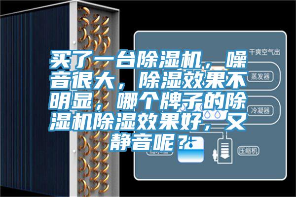 買了一臺除濕機，噪音很大，除濕效果不明顯，哪個牌子的除濕機除濕效果好，又靜音呢？