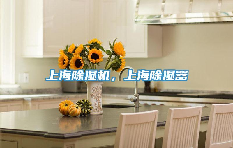 上海除濕機，上海除濕器