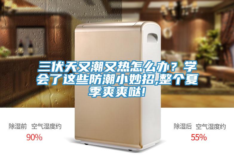 三伏天又潮又熱怎么辦？學會了這些防潮小妙招,整個夏季爽爽噠!