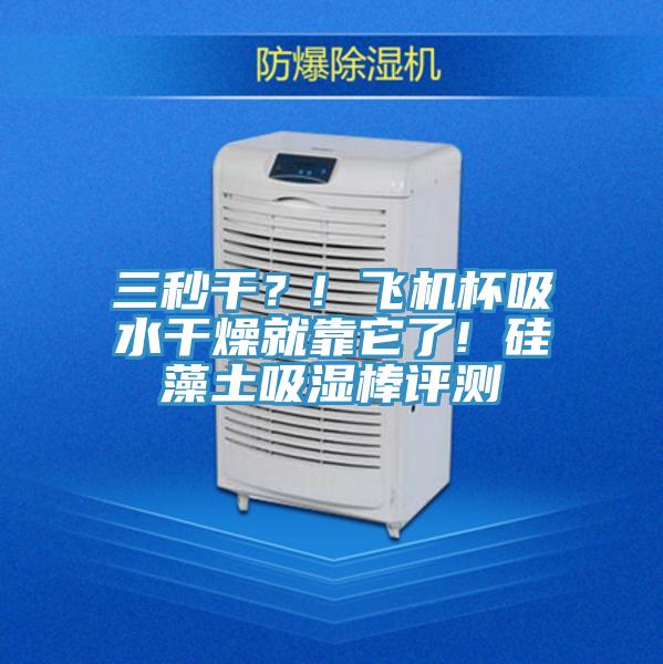 三秒干？! 飛機(jī)杯吸水干燥就靠它了! 硅藻土吸濕棒評測