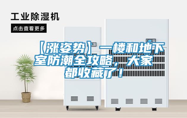 【漲姿勢(shì)】一樓和地下室防潮全攻略，大家都收藏了！