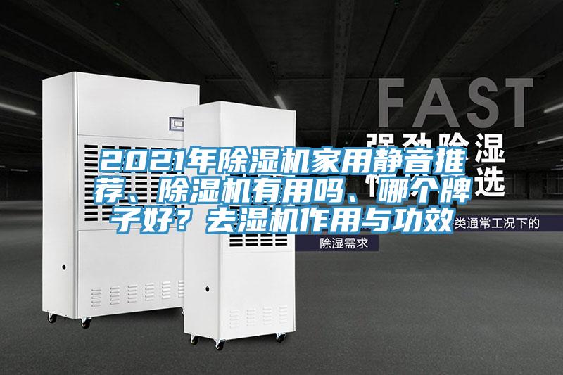 2021年除濕機家用靜音推薦、除濕機有用嗎、哪個牌子好？去濕機作用與功效