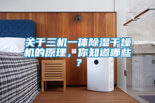 關(guān)于三機一體除濕干燥機的原理，你知道哪些？