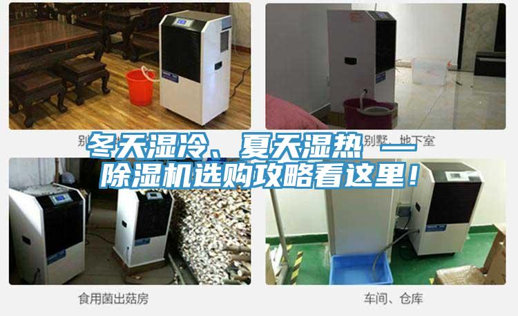 冬天濕冷、夏天濕熱 — 除濕機選購攻略看這里！