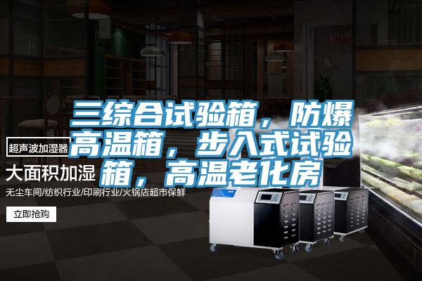 三綜合試驗(yàn)箱，防爆高溫箱，步入式試驗(yàn)箱，高溫老化房