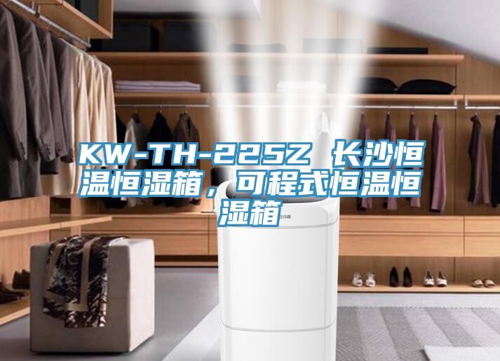 KW-TH-225Z 長沙恒溫恒濕箱，可程式恒溫恒濕箱