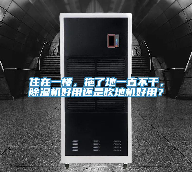 住在一樓，拖了地一直不干，除濕機(jī)好用還是吹地機(jī)好用？