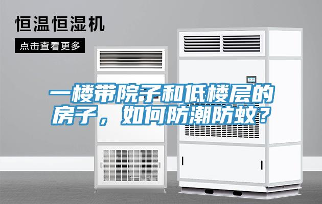 一樓帶院子和低樓層的房子，如何防潮防蚊？