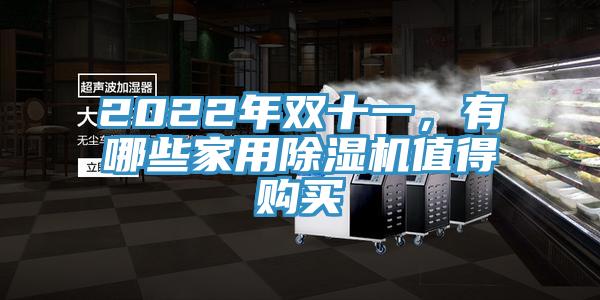 2022年雙十一，有哪些家用除濕機(jī)值得購(gòu)買