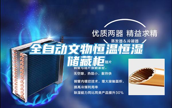 全自動(dòng)文物恒溫恒濕儲藏柜