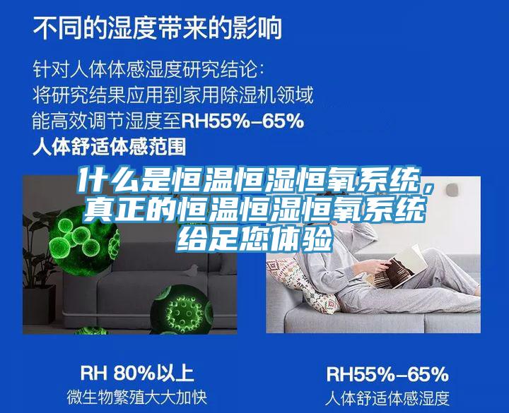 什么是恒溫恒濕恒氧系統(tǒng)，真正的恒溫恒濕恒氧系統(tǒng)給足您體驗(yàn)