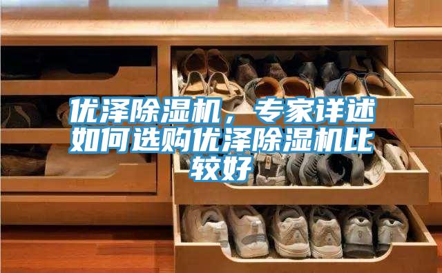 優(yōu)澤除濕機(jī)，專(zhuān)家詳述如何選購(gòu)優(yōu)澤除濕機(jī)比較好