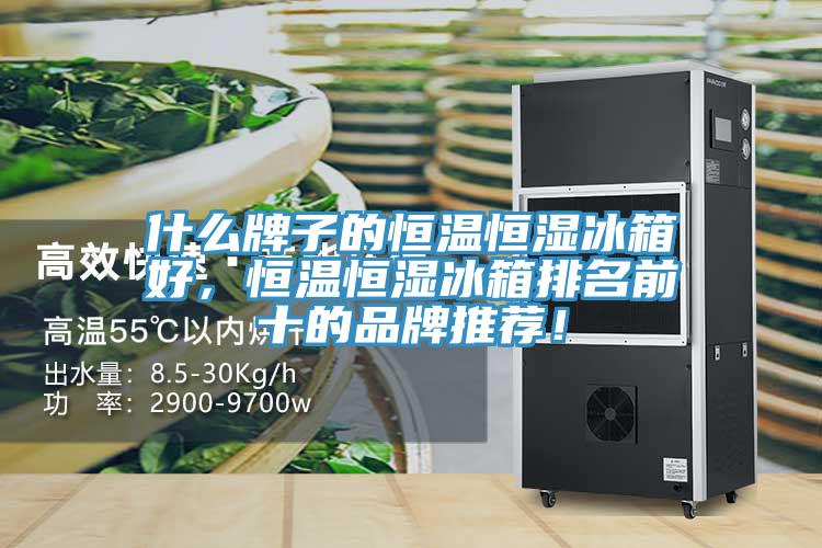 什么牌子的恒溫恒濕冰箱好，恒溫恒濕冰箱排名前十的品牌推薦！
