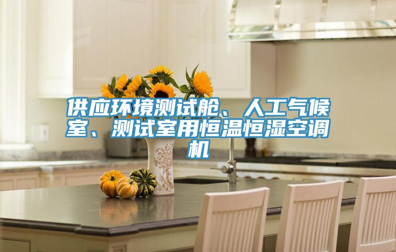 供應(yīng)環(huán)境測試艙、人工氣候室、測試室用恒溫恒濕空調(diào)機(jī)
