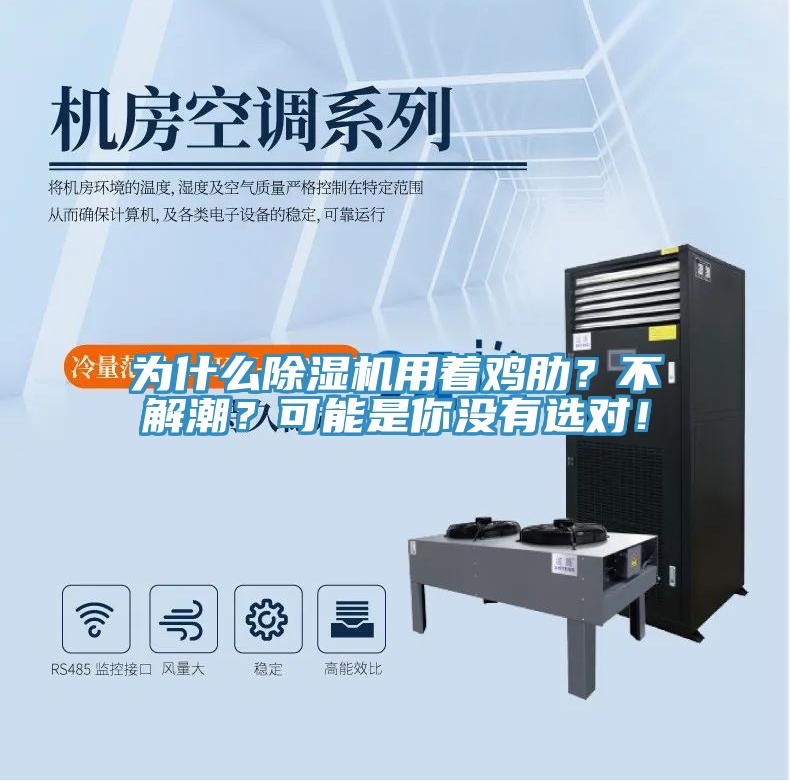 為什么除濕機用著雞肋？不解潮？可能是你沒有選對！