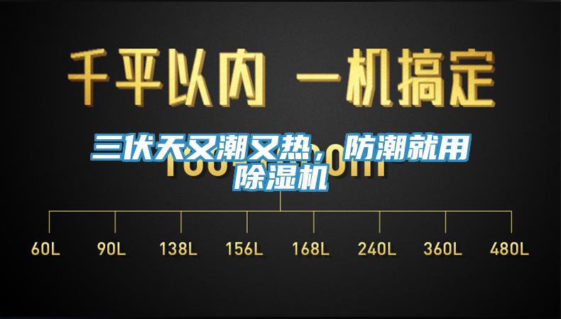 三伏天又潮又熱，防潮就用除濕機(jī)