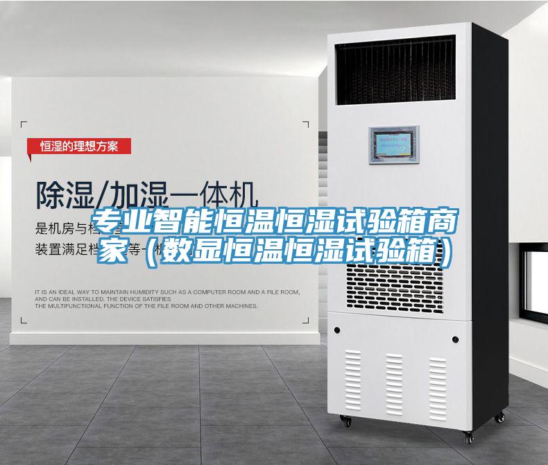 專(zhuān)業(yè)智能恒溫恒濕試驗(yàn)箱商家（數(shù)顯恒溫恒濕試驗(yàn)箱）