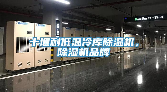 十堰耐低溫冷庫除濕機(jī)，除濕機(jī)品牌