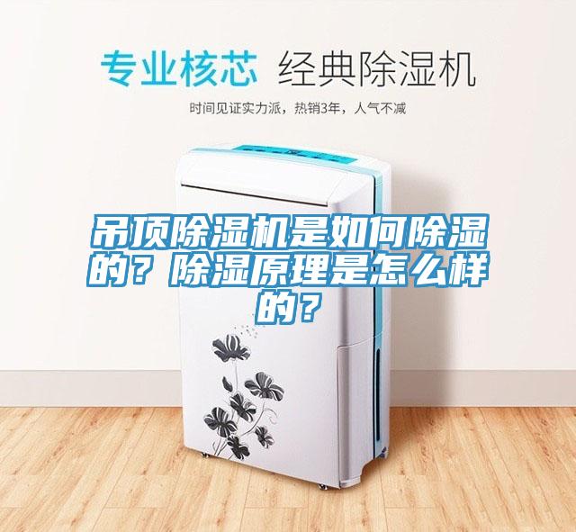 吊頂除濕機是如何除濕的？除濕原理是怎么樣的？