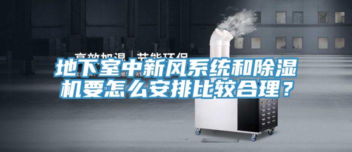 地下室中新風系統(tǒng)和除濕機要怎么安排比較合理？