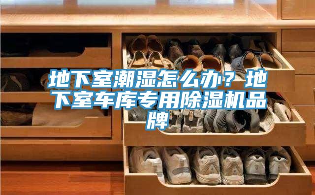 地下室潮濕怎么辦？地下室車(chē)庫(kù)專(zhuān)用除濕機(jī)品牌