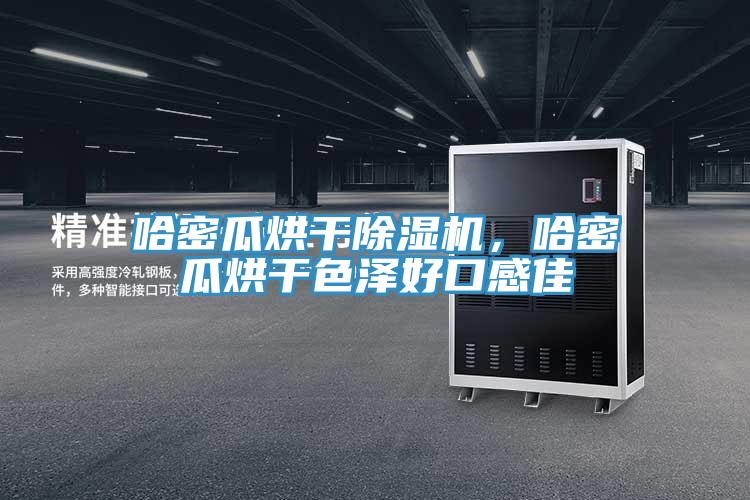 哈密瓜烘干除濕機(jī)，哈密瓜烘干色澤好口感佳