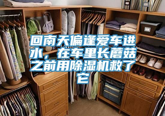 回南天偏逢愛車進水，在車里長蘑菇之前用除濕機救了它