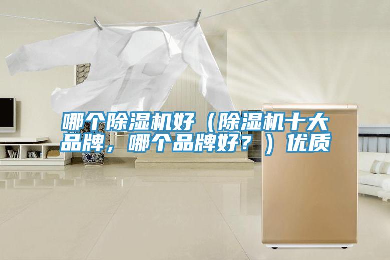 哪個除濕機(jī)好（除濕機(jī)十大品牌，哪個品牌好？）優(yōu)質(zhì)
