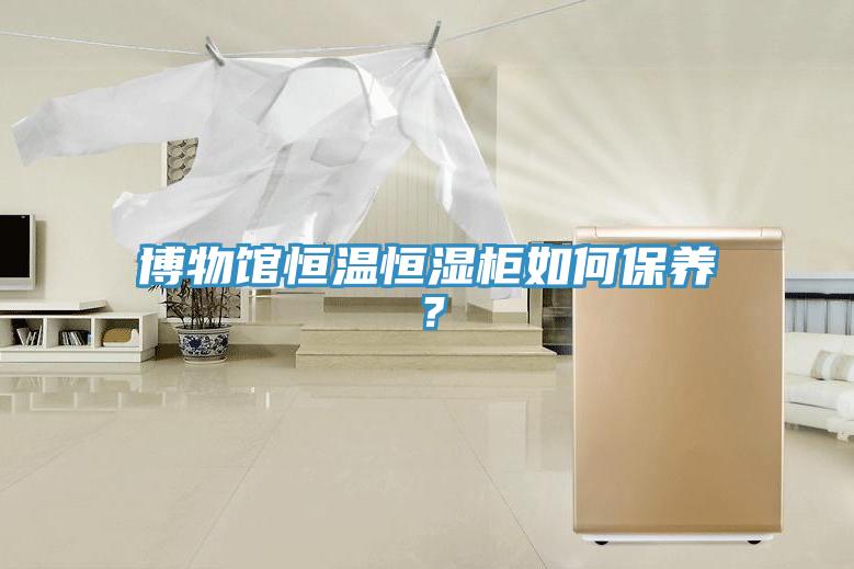 博物館恒溫恒濕柜如何保養(yǎng)？