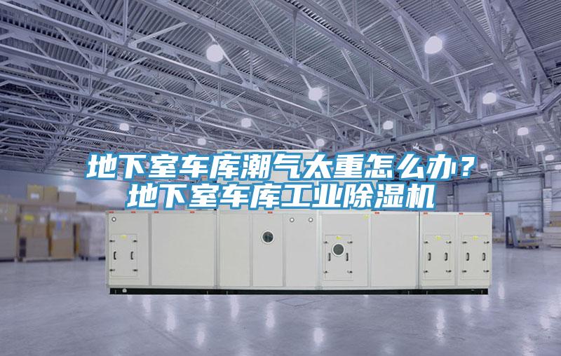 地下室車庫潮氣太重怎么辦？地下室車庫工業(yè)除濕機(jī)