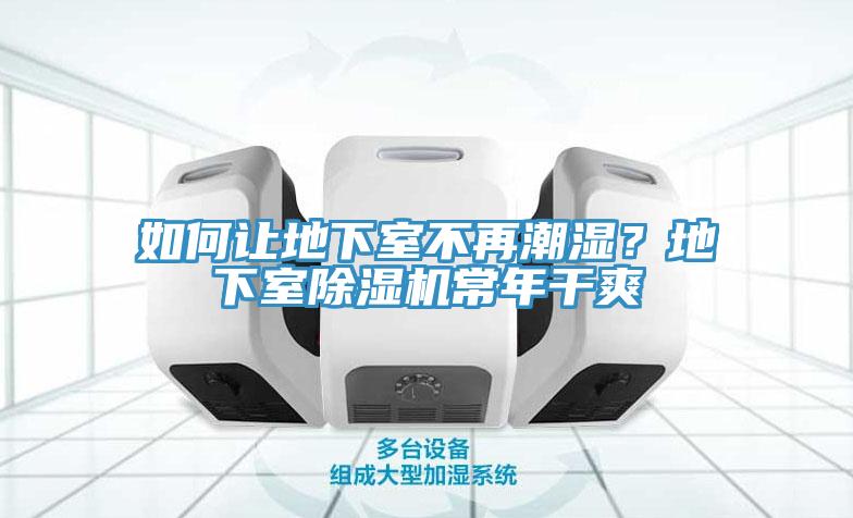 如何讓地下室不再潮濕？地下室除濕機常年干爽